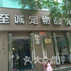 至诚宠物医院