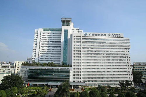 招133人 有编制 广西医科大学第一附属医院招聘火热来袭