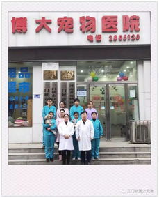 在2018年的最后一天,博大宠物医院收到了最好的两个礼物