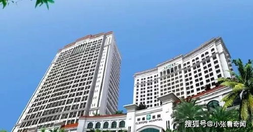 一个病人导致整家三甲医院停摆,制片厂一家4口12天内相继去世