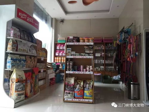 博大宠物医院迎双节送好礼