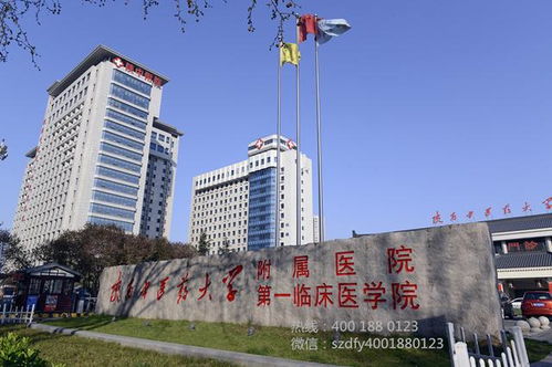 董博丝路行 在移动的 路边诊室 ,感受博大精深的中医针灸