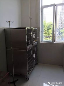 三门峡博大宠物医院简介