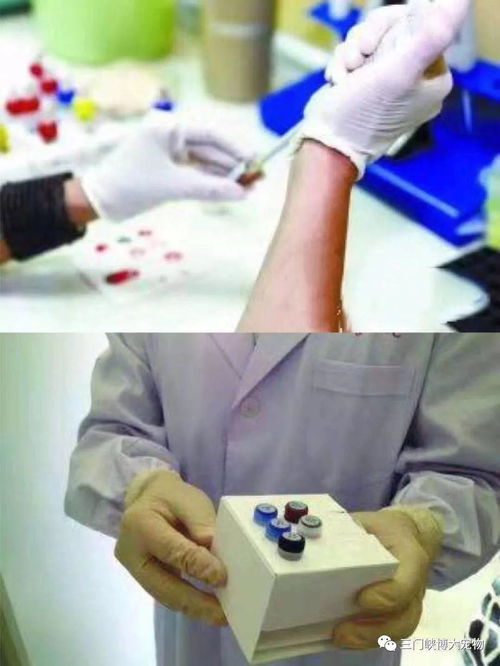三门峡博大宠物医院简介