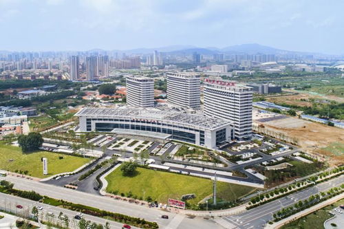 奋斗百年路 启航新征程 烟台影像志 凤凰山下树典范 黄海之滨耀明珠