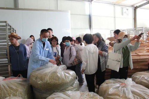 主题教育│四送四进四提升 发扬神农精神 传承国药精粹——滨州市中医医院联合滨州市疾控中心、滨北街道总工会开展党员志愿服务活动